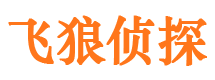 新疆市私家侦探